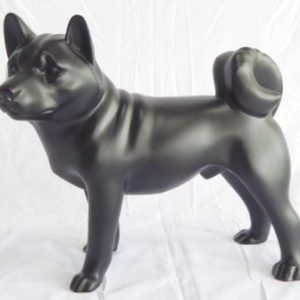 Kintamani Dog