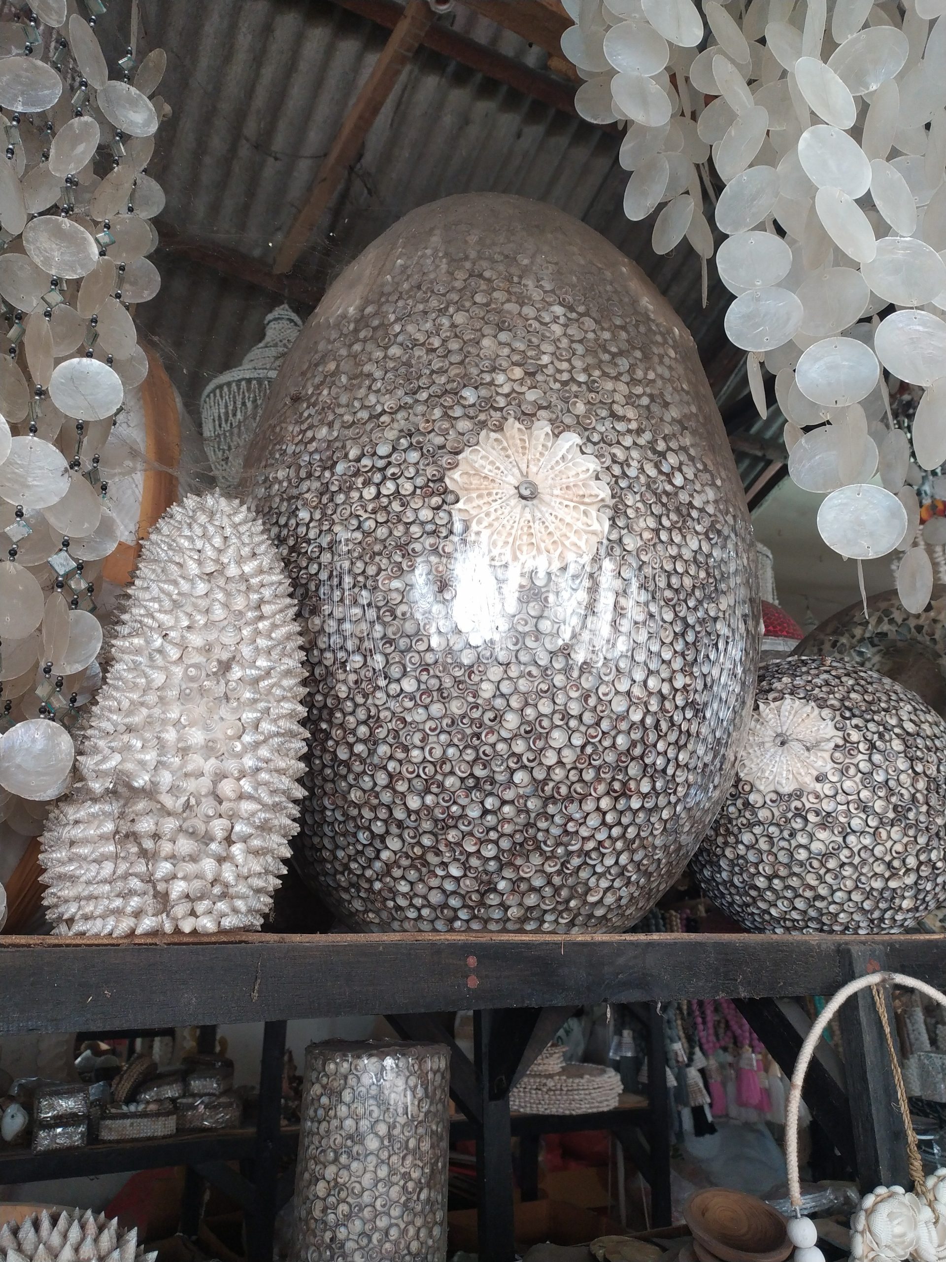 Egg shell For light