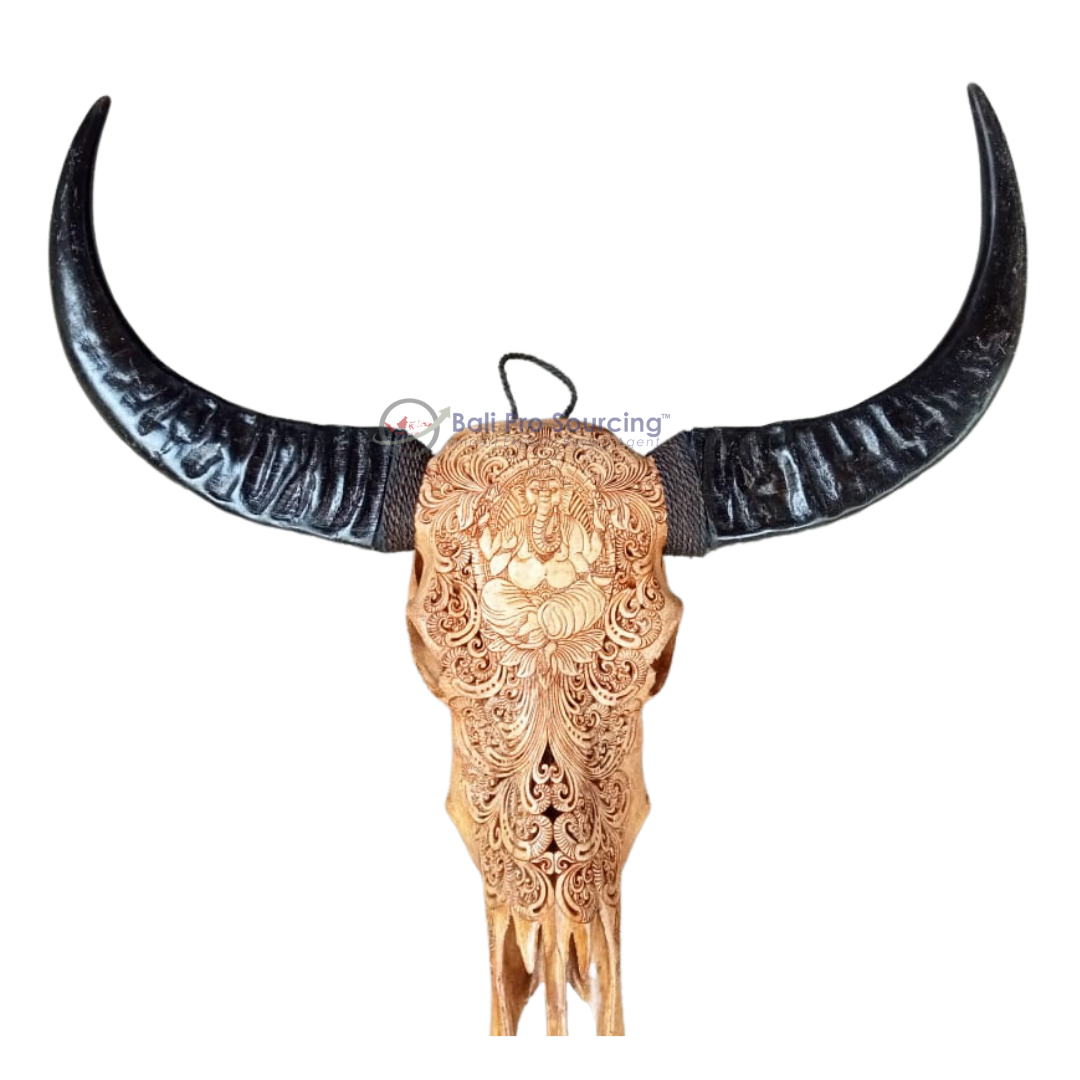 Extra Large Brown Buffalo Skull - Image 7