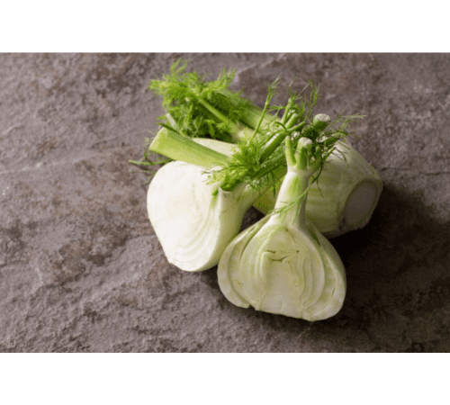 Fennel Essential Oil