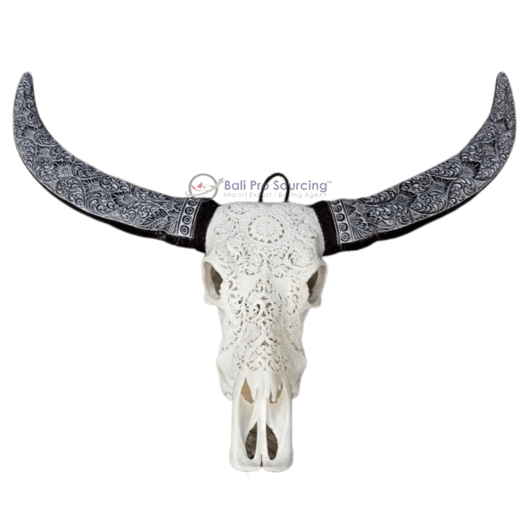 Extra Large Buffalo Skull's horn carved – Image 2