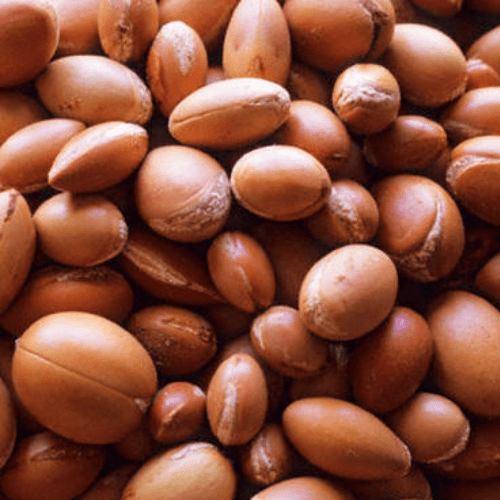 Argan Essential Oil