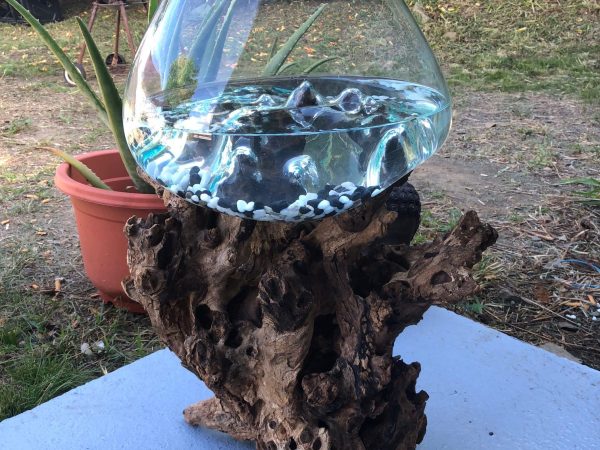 Glass decoration with roots 6