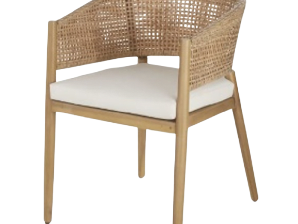 Chaise Repas Exterieur Dining Chair