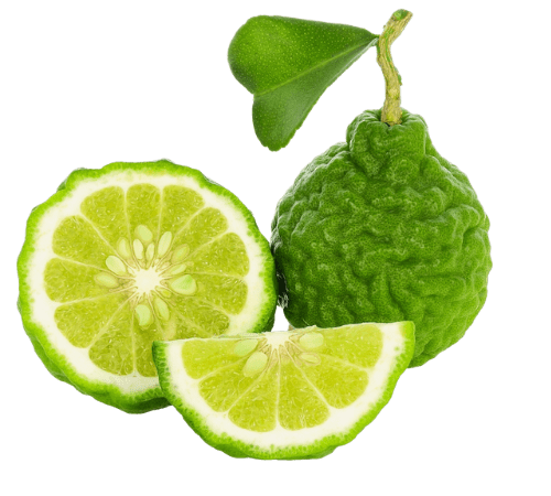 Bergamot Essential Oil
