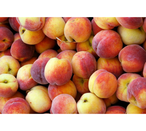 Peach Nectar Essential Oil