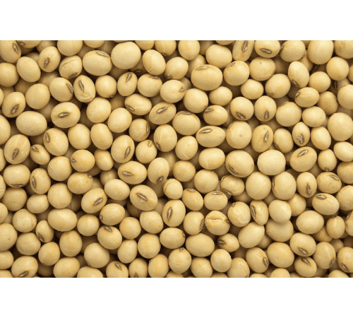 Soybean Essential Oil