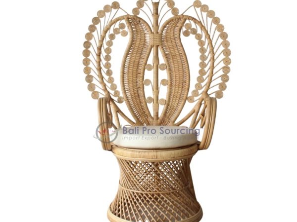 Beatiful Peacock Chair