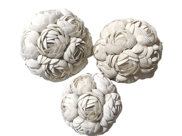 A Set Of 3 Sea Shells Mawar