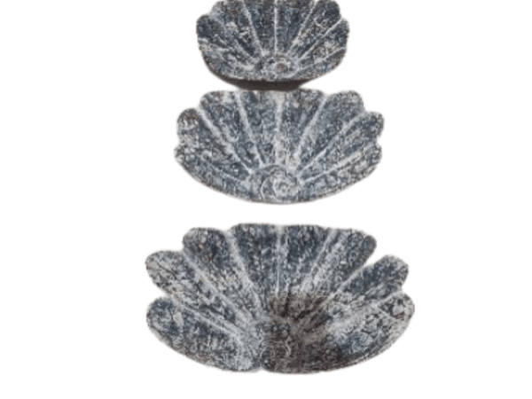 A Set Of 3 Wooden Decor Sea Shell