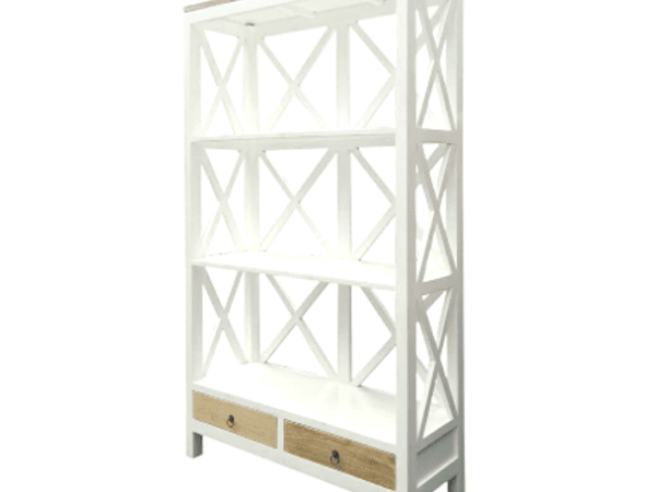 Bookcase 06