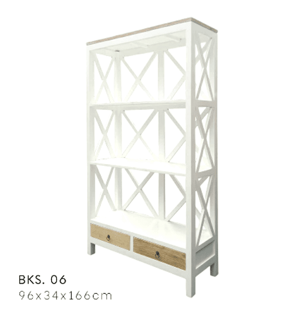 Bookcase 06