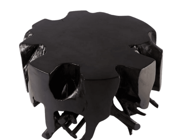 Bromo Root Coffee Table