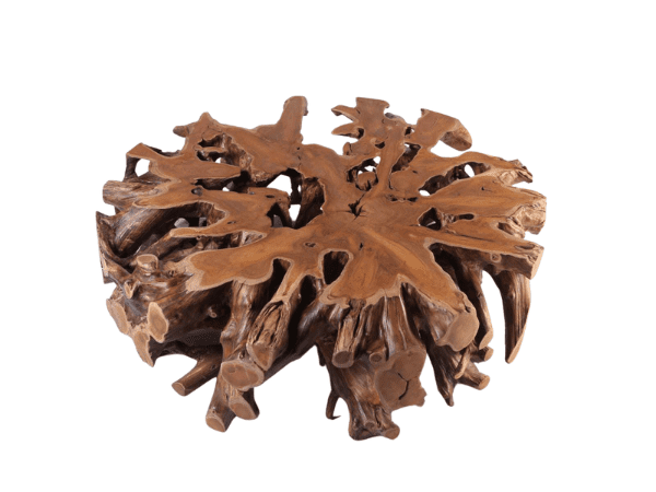 Bromo  Root Coffee Table