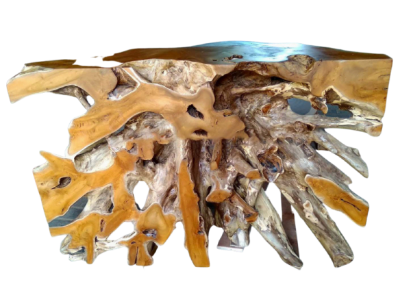 Bromo Root Teak Console Table