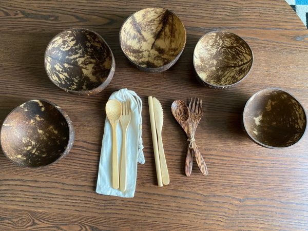 Coconut Bowl