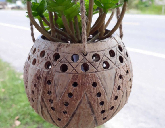 Coconut Plant Pot No.8