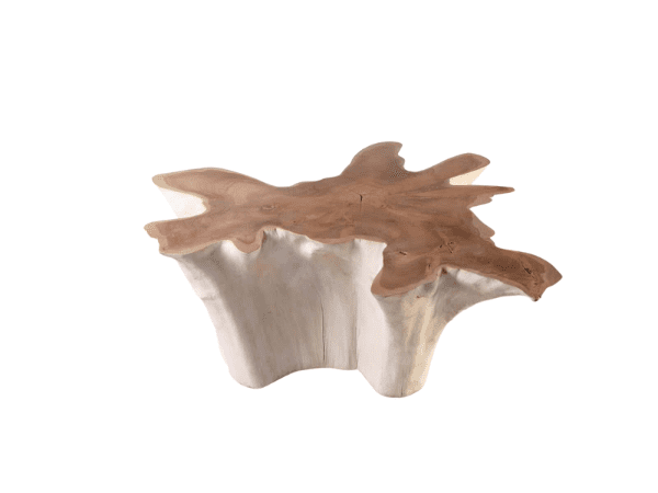 Coffee Table Teak Root