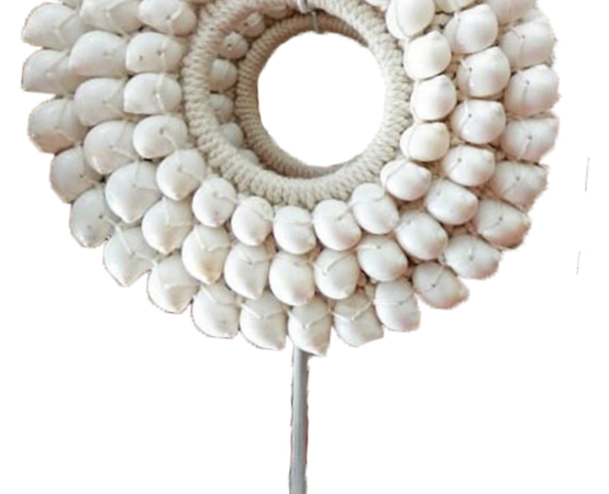 Colliers De Coquillage Blanc Sur Socle