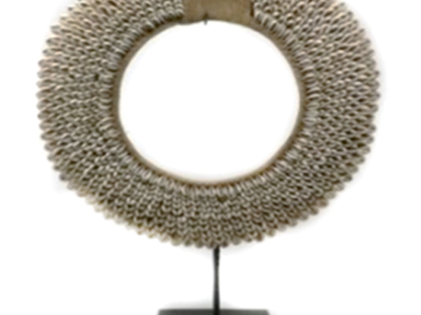 Colliers De Coquillage Blanc Sur Socle