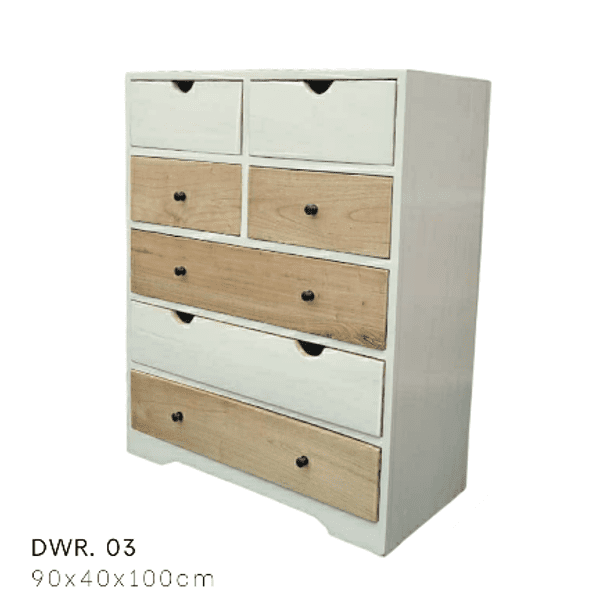 DWR Cabinet 03