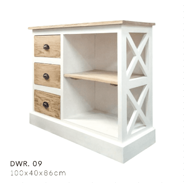 DWR Cabinet 09