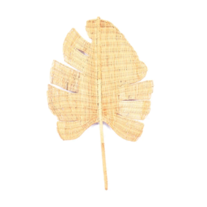 Deco Shella