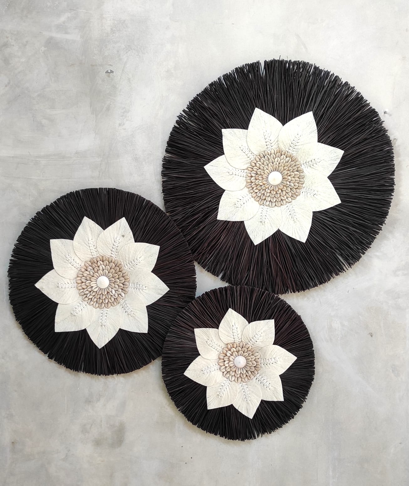 Dried Palm Leaf And Black Grass With Sea Shells - Image 2