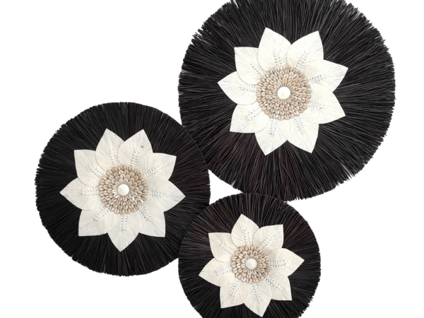 Dried Palm Leaf And Black Grass With Sea Shells