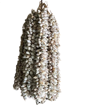 Hanging Shell Decoration