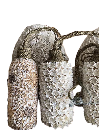 Hanging shell lamp