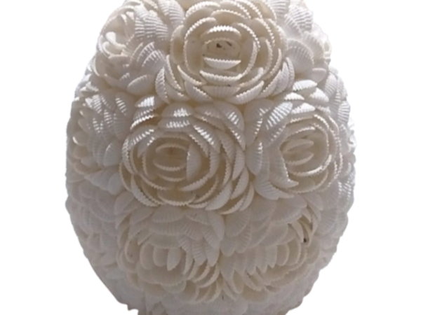 Lamp Sea Shells Egg