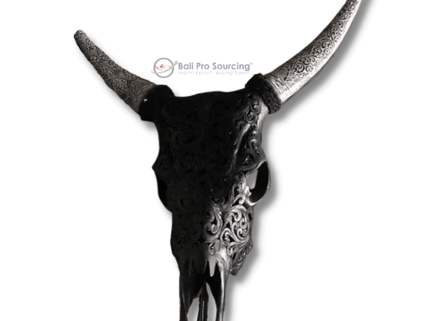 Male Cow's Skull Horn carved