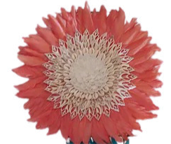 Peach Feather wall decoration