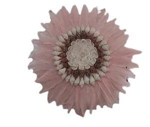 Pink Feather wall decoration