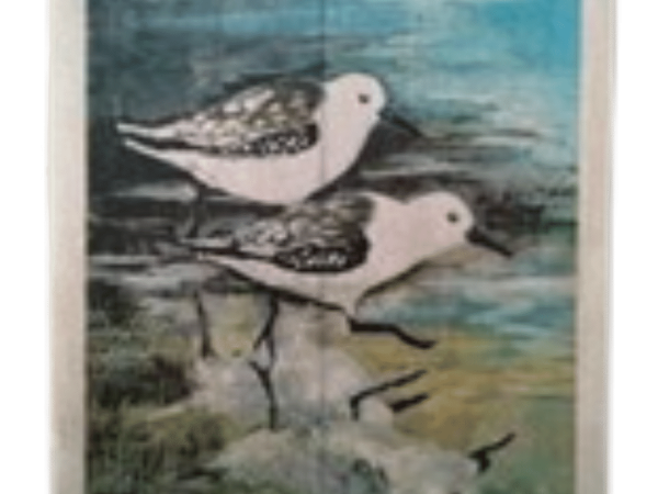 Seagull Painting