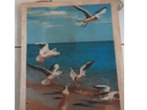 Seagull Painting