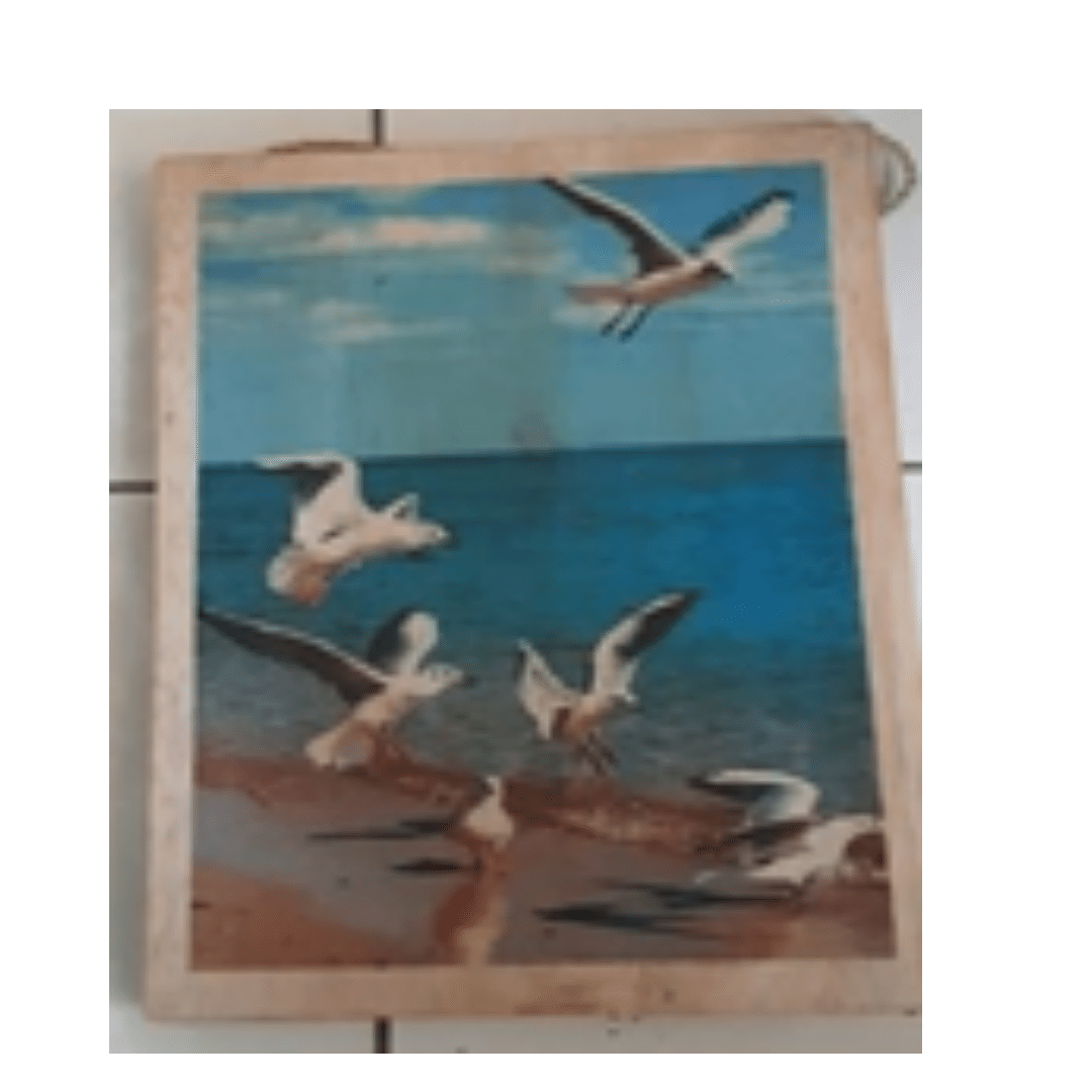 Seagull Painting