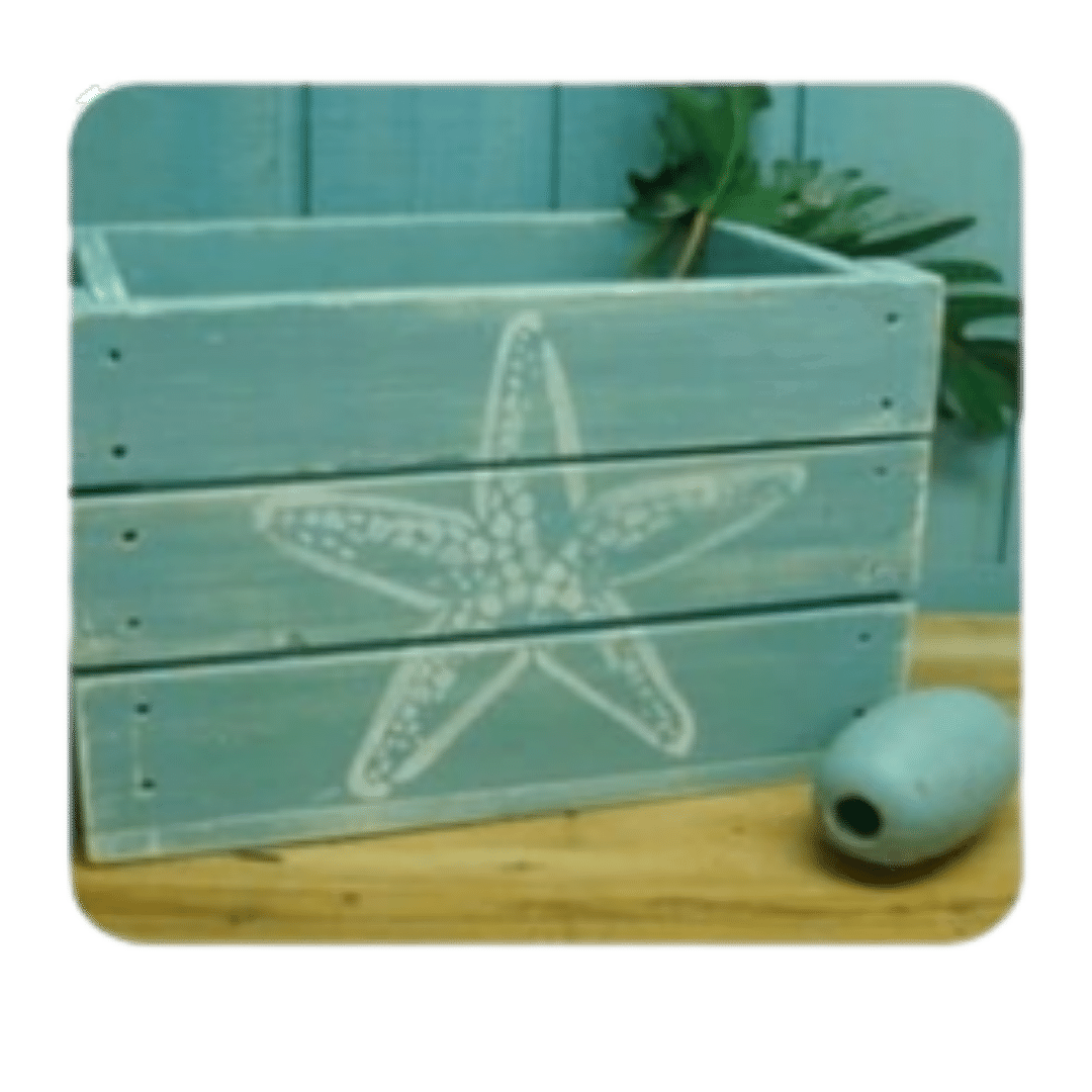 Starfish Box Decoration