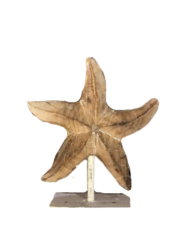 Starfish decoration