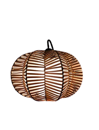 Starfruit rattan wall lamp
