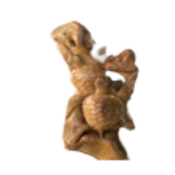Take Root Turtle Carving Arround
