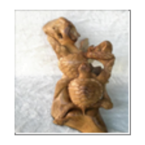Take Root Turtle Carving Arround – Image 2