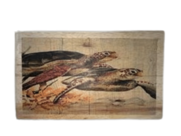 Turtle Painting