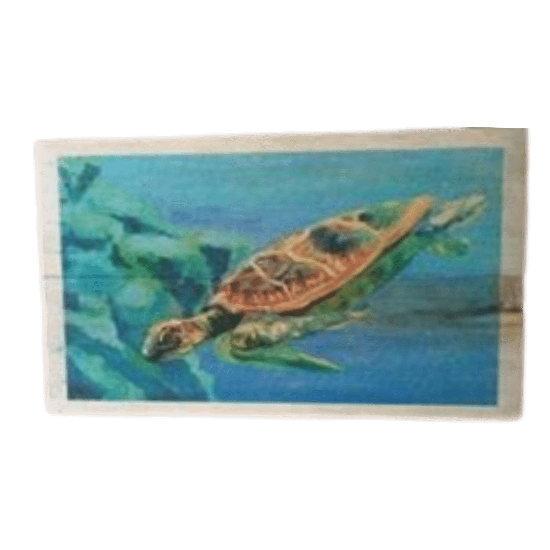 Turtle Painting