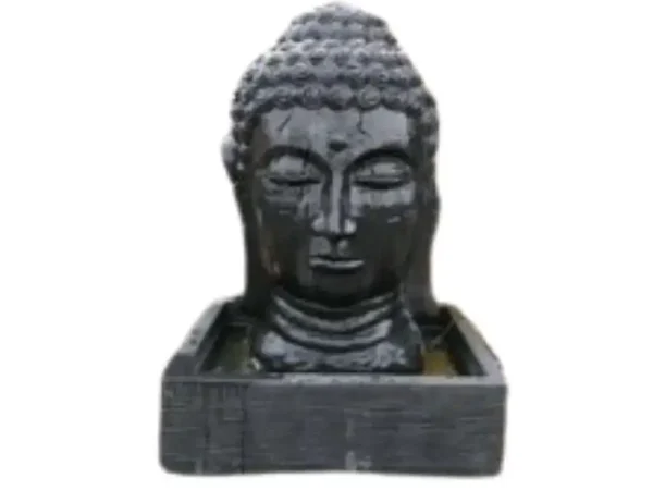 Water Fountain Head Budha