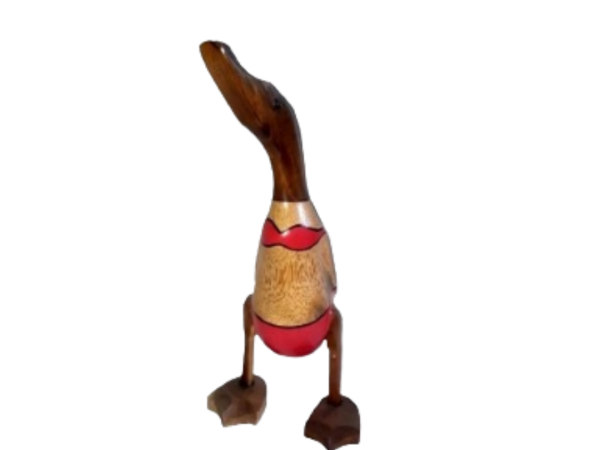 Wooden Duck Wearing Red Bikini