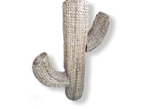 Cactus Water Hyacinth 125 cm