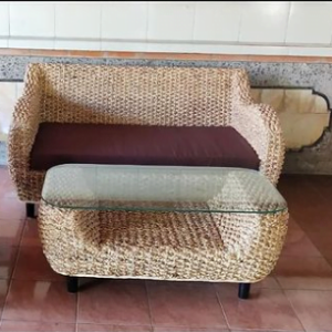 Water Hyacinth Sofa