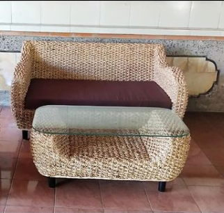 Water Hyacinth Sofa